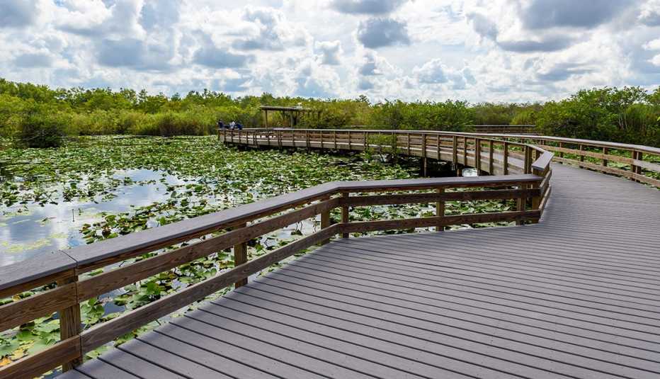 Paseos en el pantano Parque Nacional Everglades, Florida, EE. UU.