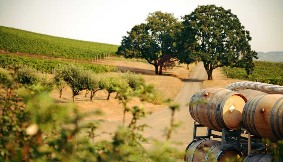 Barriles de vino apilados en un viñedo.