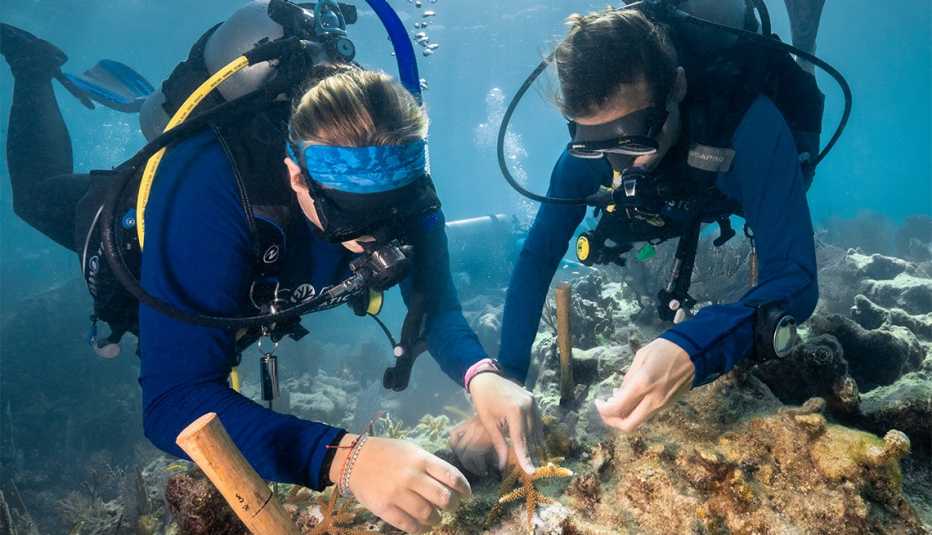 Dos buzos sumergidos restaurando un arrecife de coral para la Coral Restoration Foundation ™