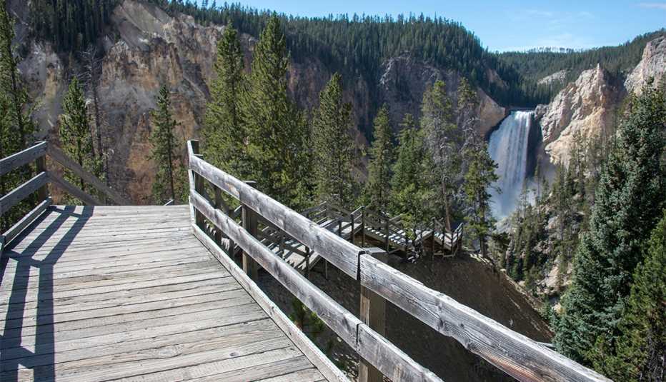 Escalones de madera y paseo marítimo en Yellowstone Falls