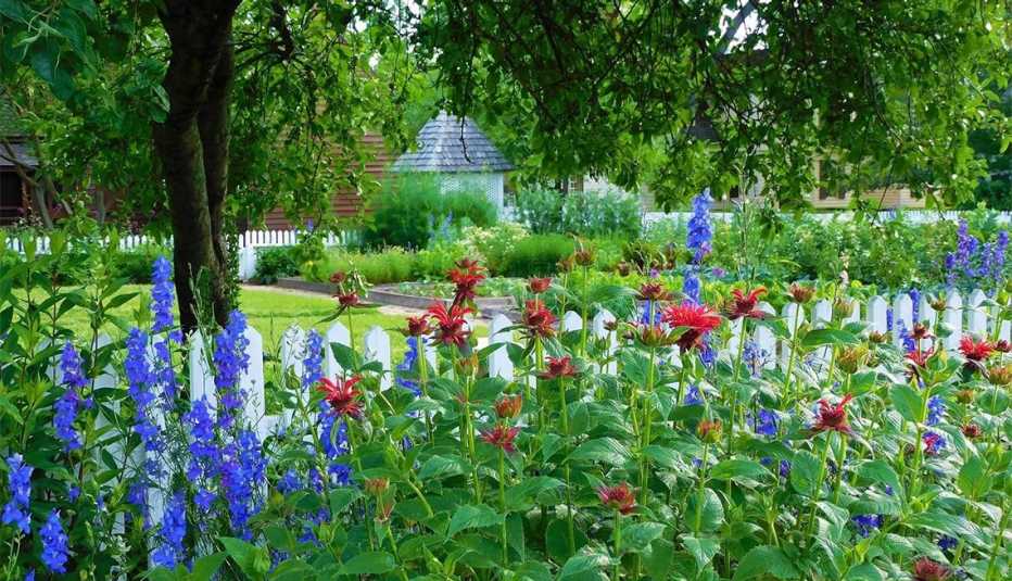 Jardín floreciente en Garden Club of Virginia Historic Garden Week