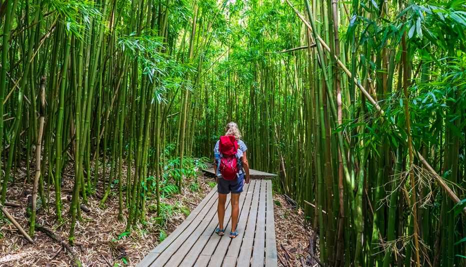 Mujer camina en medio de un bosque de bambú
