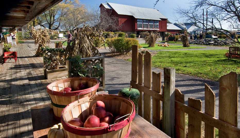 Manzanas para la venta en Amish Acres en Nappanee Indiana