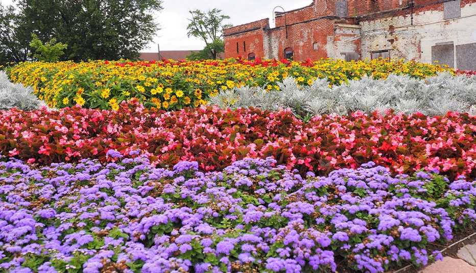 Jardín con flores de varios colores