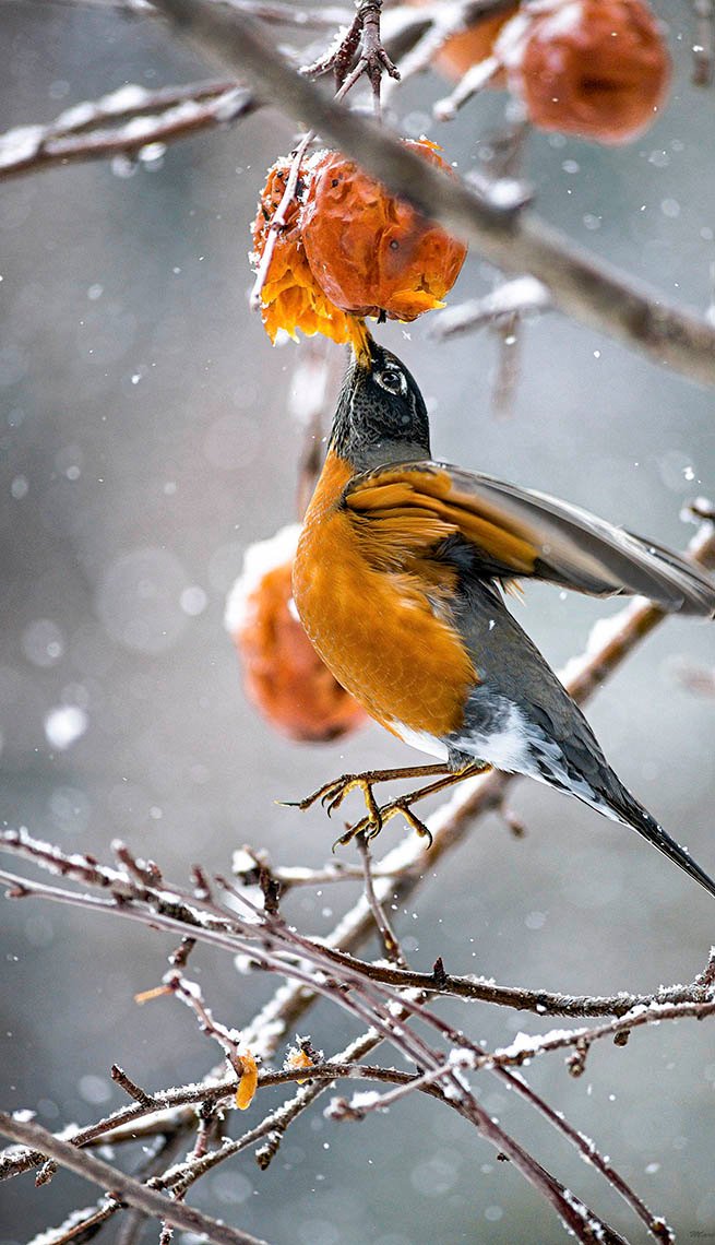 2023 AARP Foundation 2018 Photo Calendar Contest Winners to organizations 