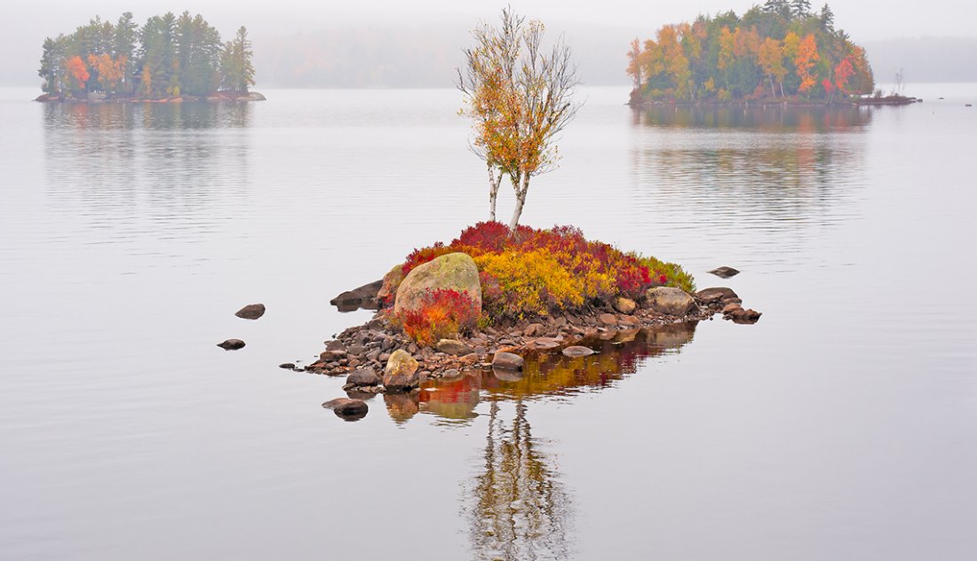 2023 AARP Foundation 2018 Photo Calendar Contest Winners to organizations 