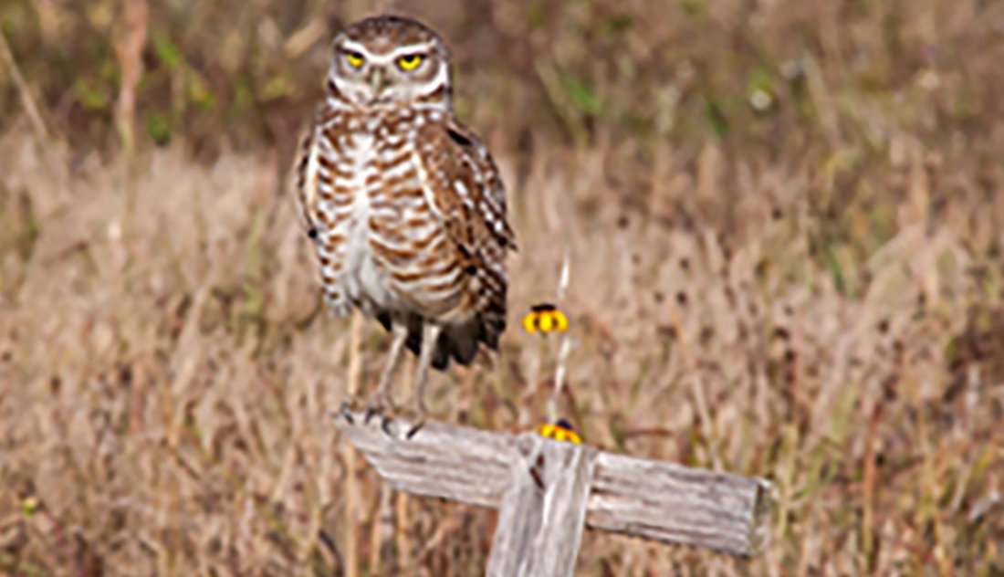 2023 AARP Foundation 2018 Photo Calendar Contest Winners to organizations 