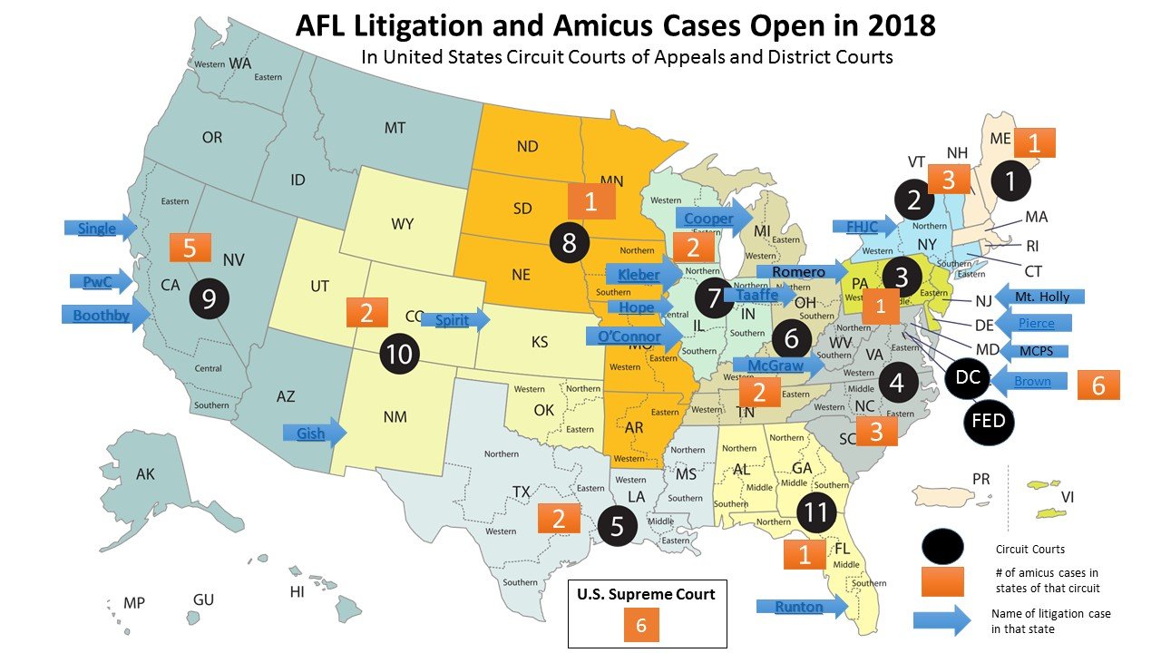 10 11 AFL Cases 2018.web 