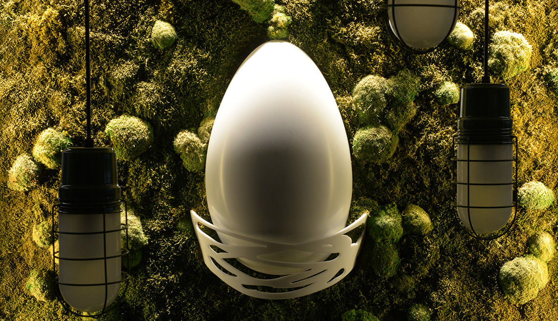 item 1 of Gallery image - An egg inside the Hatchery at AARP