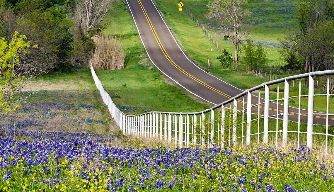 Top 10 Ten Drives,  Bluebonnet Trail, TX