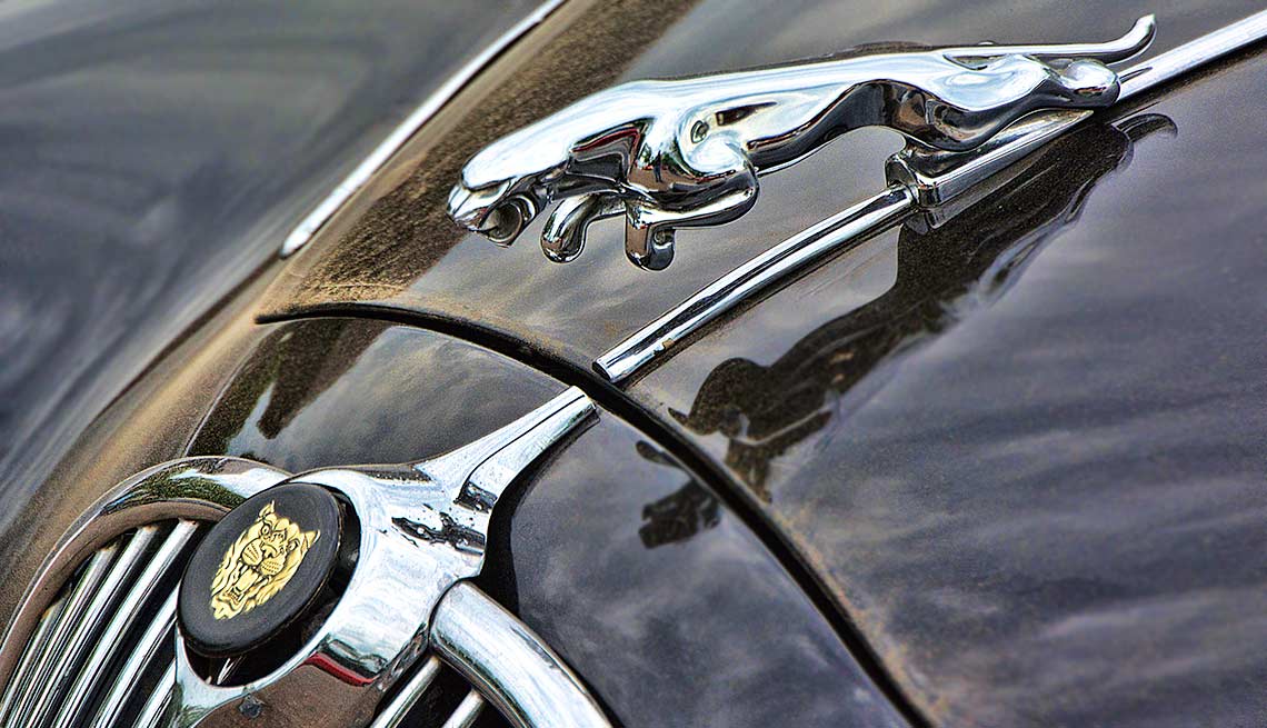 Remember When Cars Had These - Hood Ornament