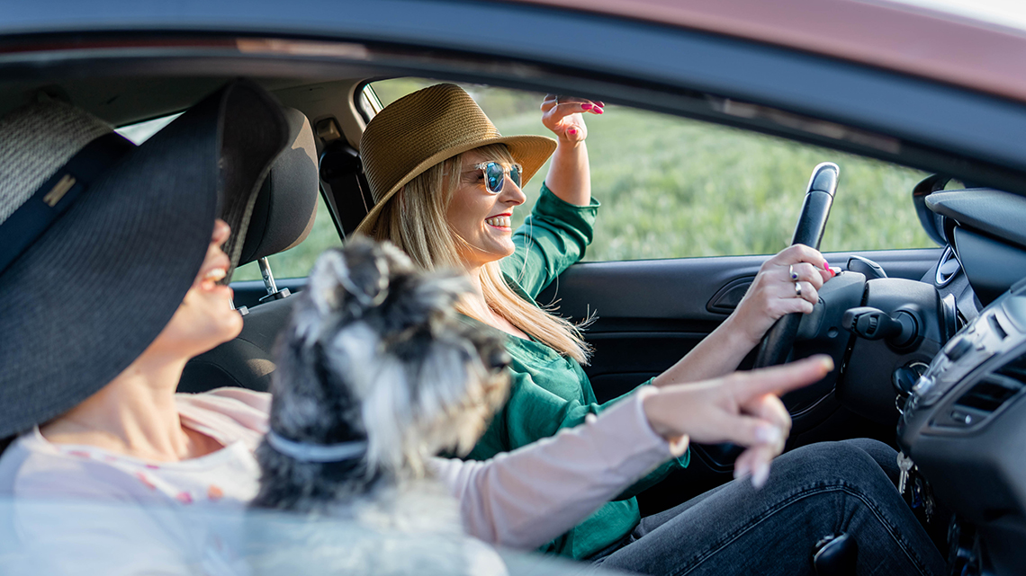 Two cheerful female friends with schnauzer dog enjoying summer road trip