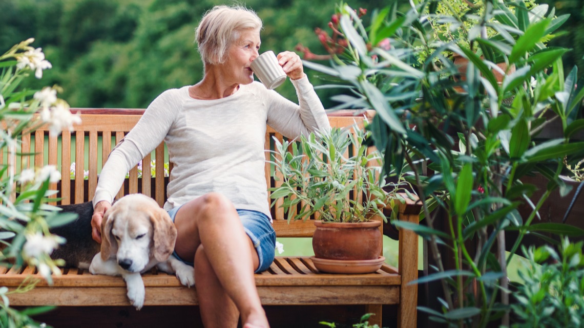 Woman on bench on porch hand over dog