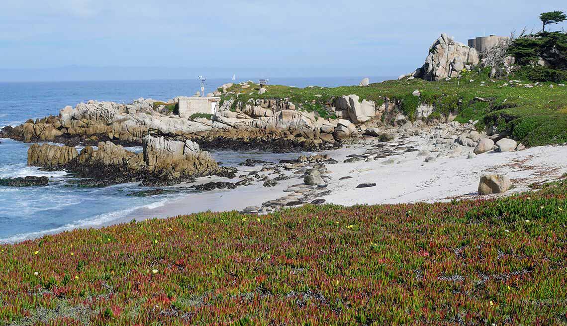 Monterey state beach 