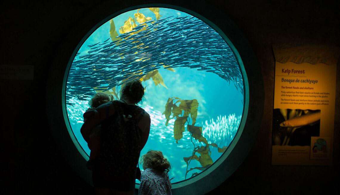 Moterey bay aquarium 