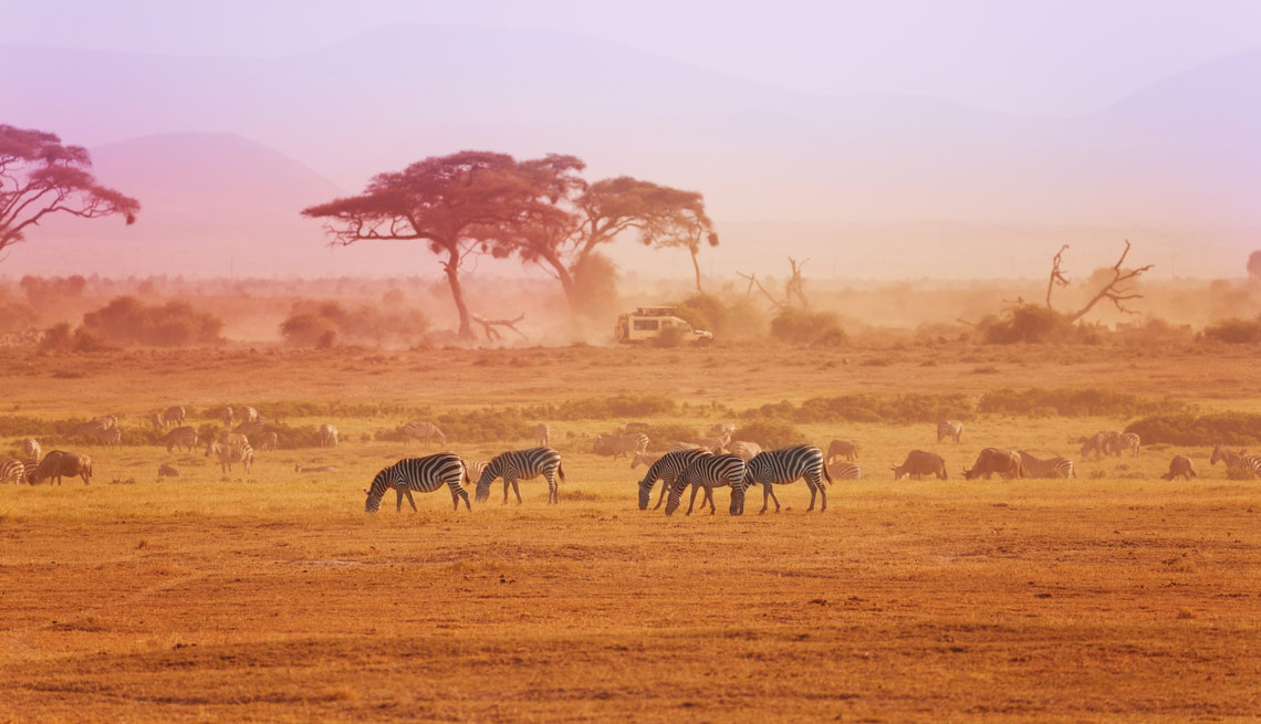 Zebras and other animals in the distance in the African desert