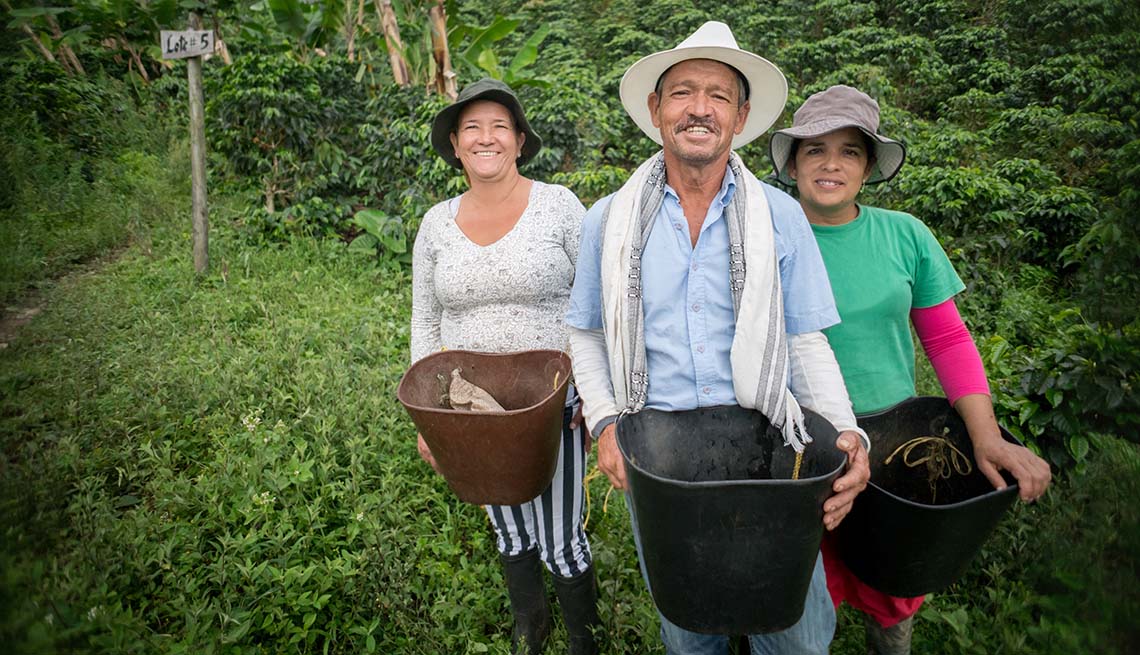 Happy group of farmers collecting Colombian coffee beans at a farm and looking at the camera smiling