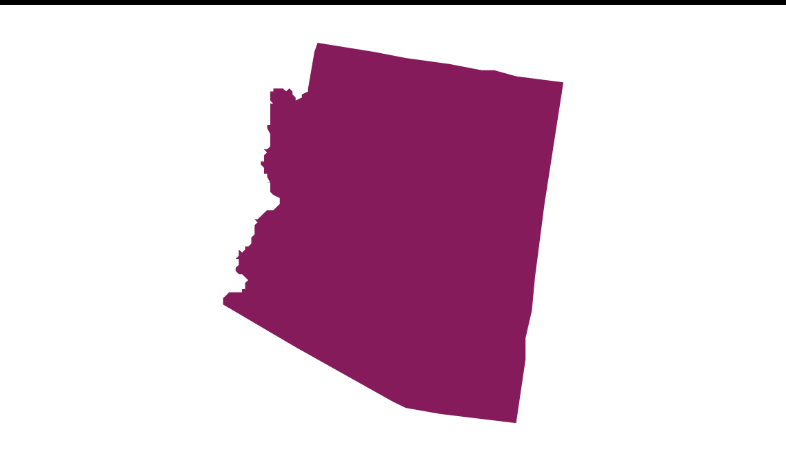 el estado de arizona