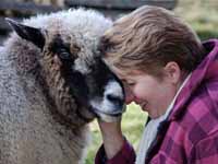 Catherine Friend author Sheepish - sheep and wool