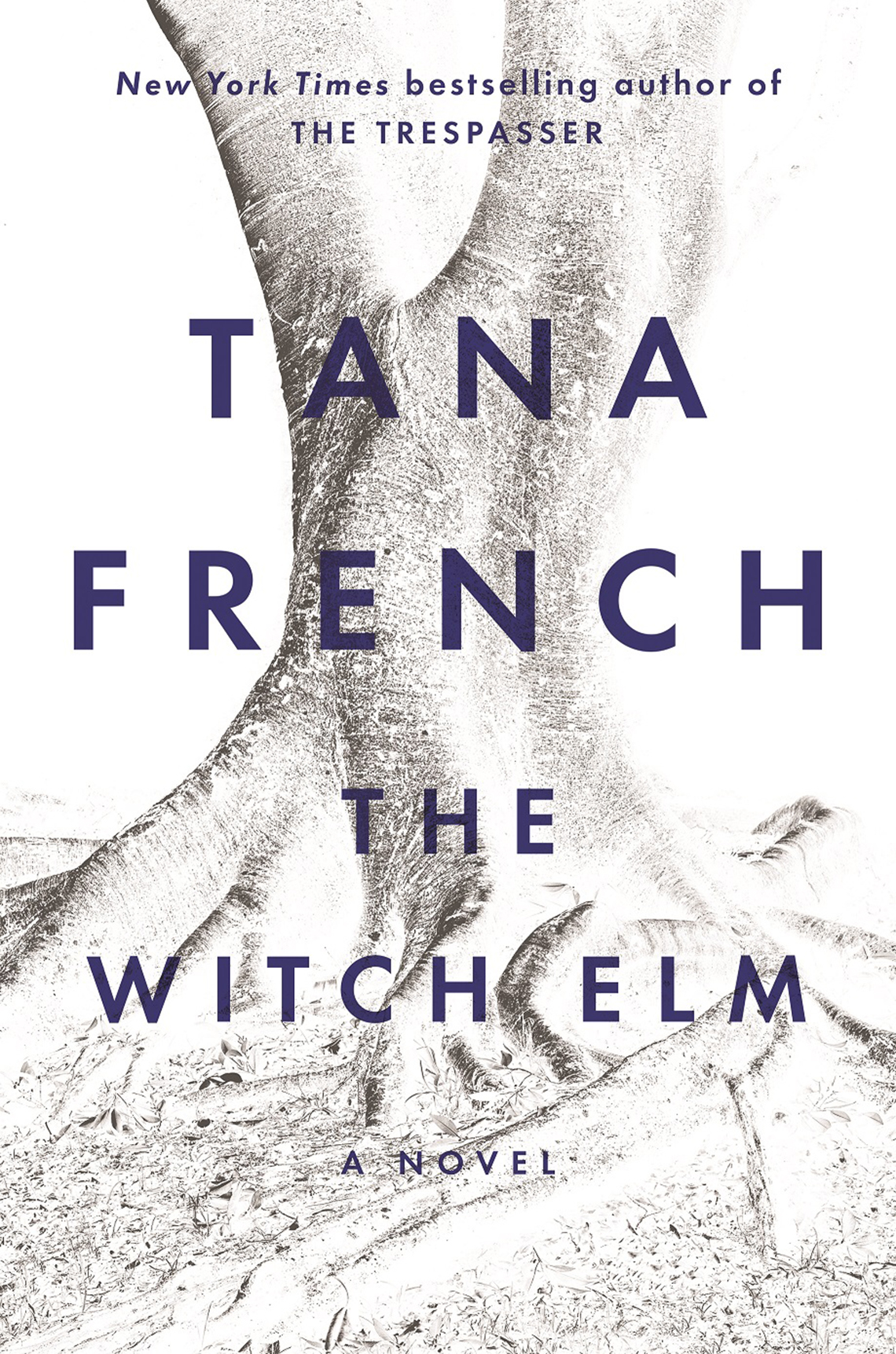 Book cover reads "New York Times bestselling author of The Trespasser, Tana French, The Witch Elm, a novel.