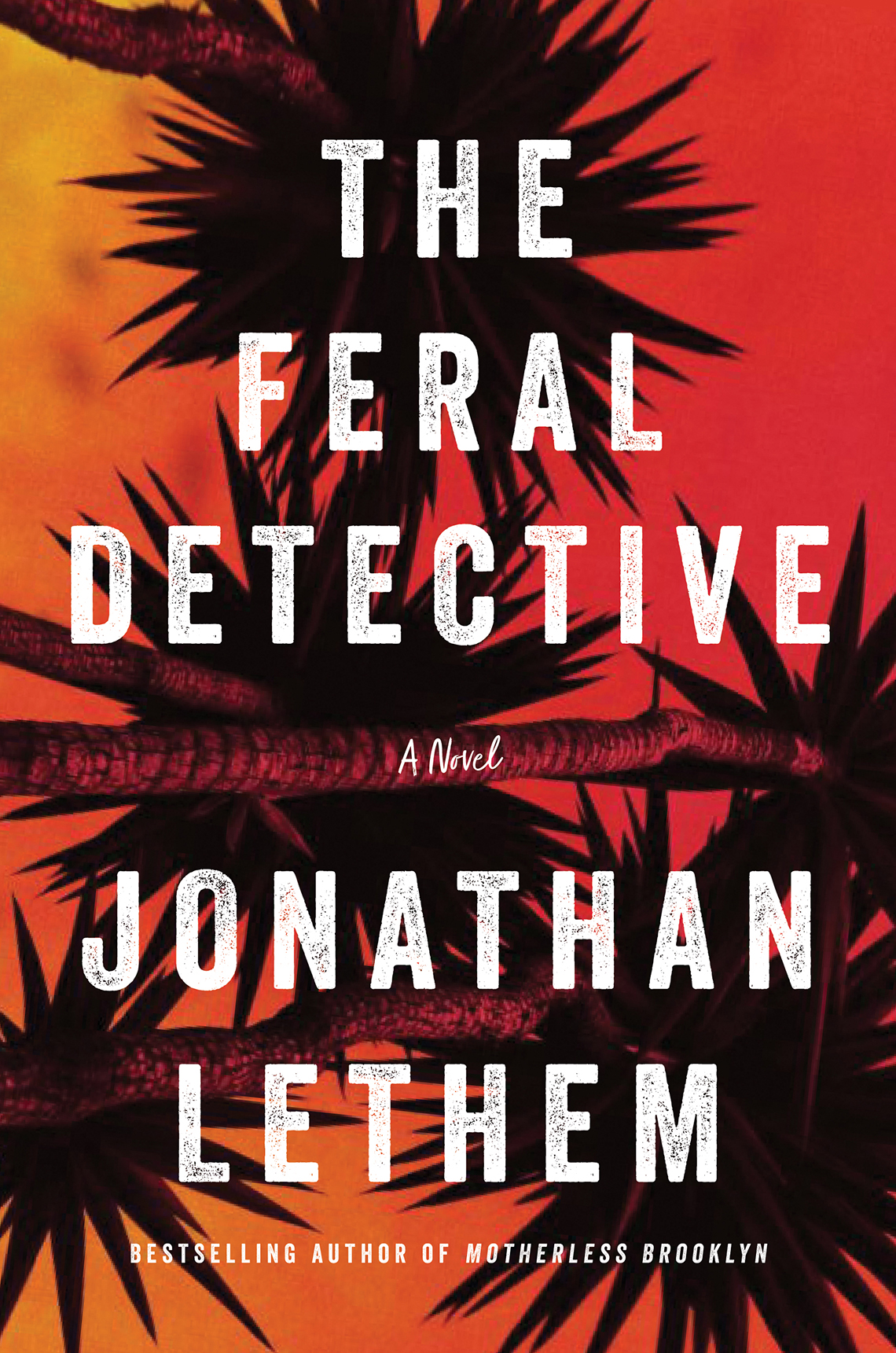 Book cover reads, The Feral Detective, A novel,  Jonathan Lethem
