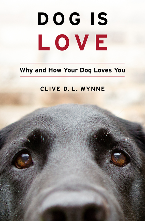 Portada del libro Dog is Love
