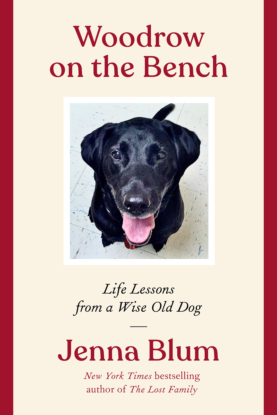 woodrow on the bench life lessons from a wise old dog by jenna blum