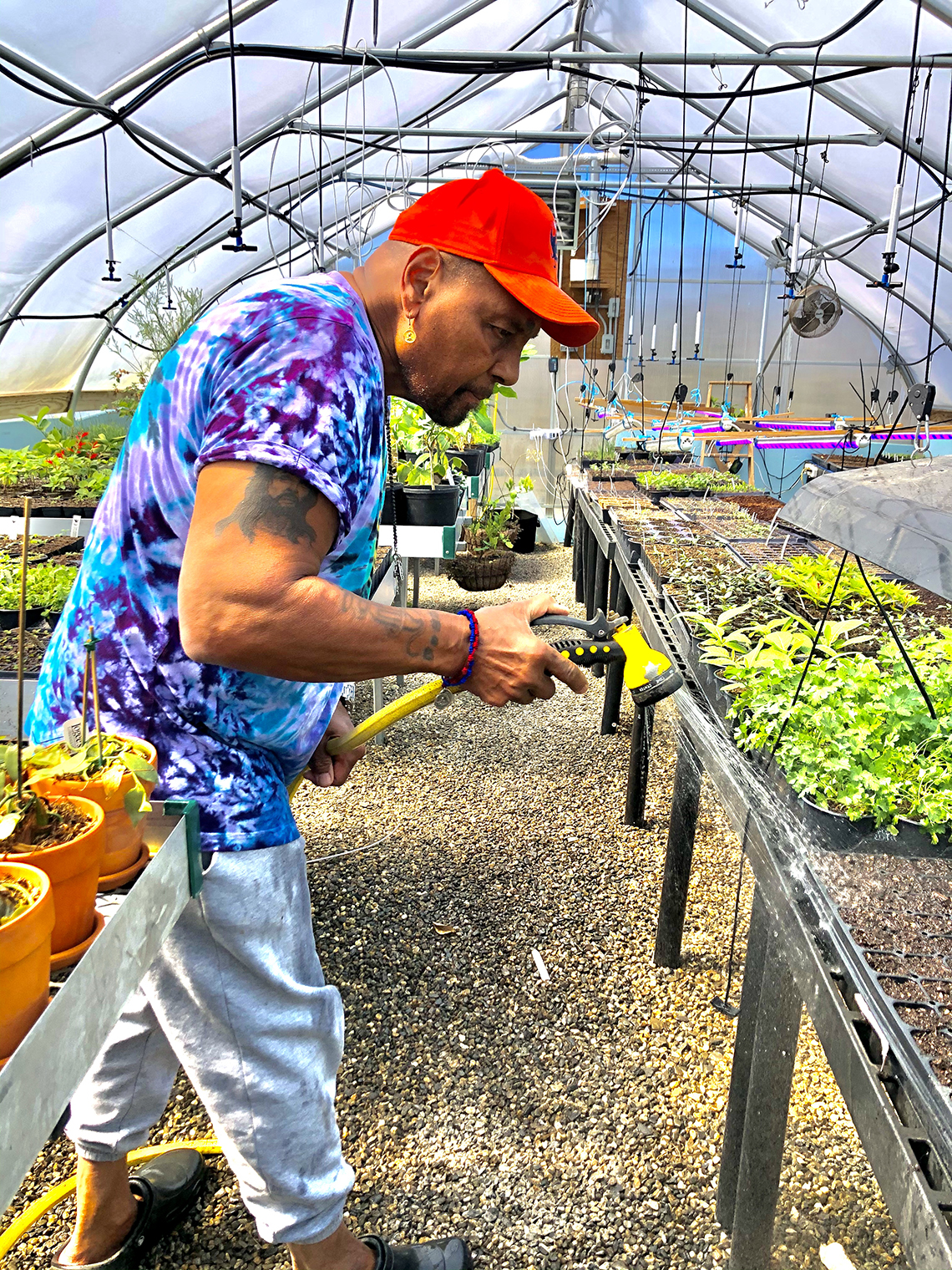 Aaron Neville doing some watering of plants inside the greenhouse at his farm
