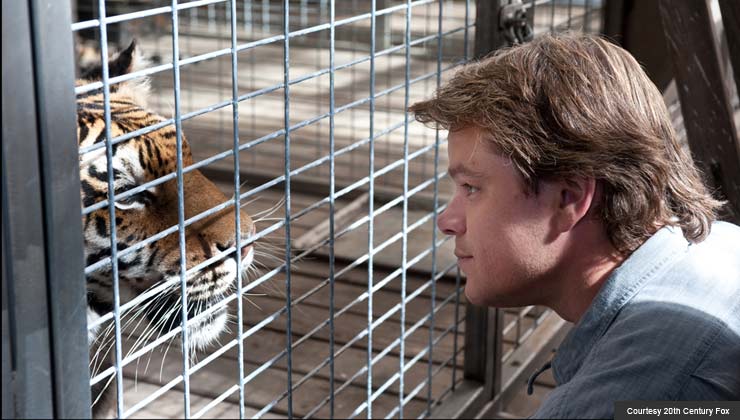 Matt Damon gets up close and personal with one of his new four-legged neighbors in "We Bought a Zoo"