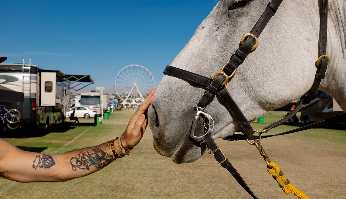 petting a horse at desert trip
