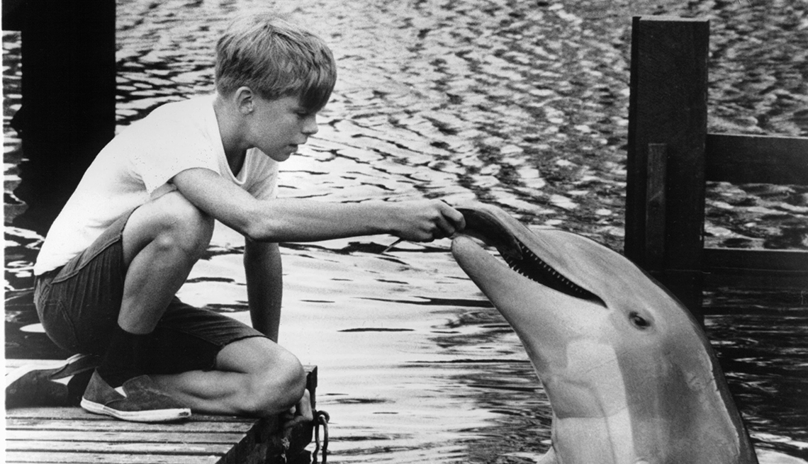 Luke Halpin, Flipper, Boomer TV Shows 1964 debut