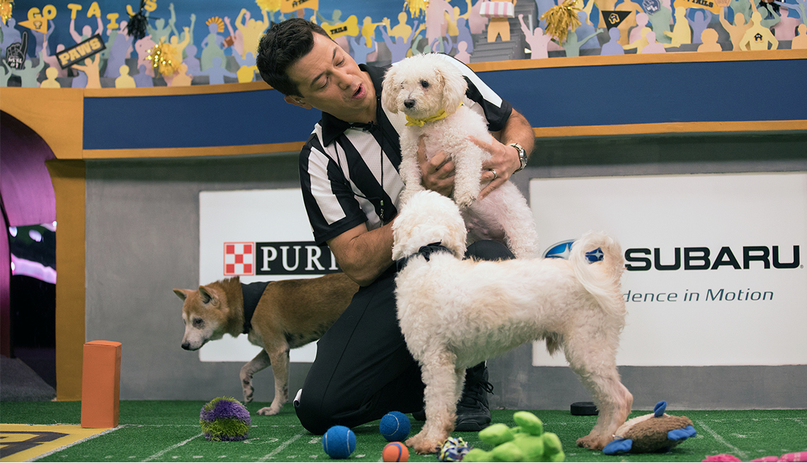 Puppy Bowl referee Dan Schachner takes the field during the first annual Dog Bowl