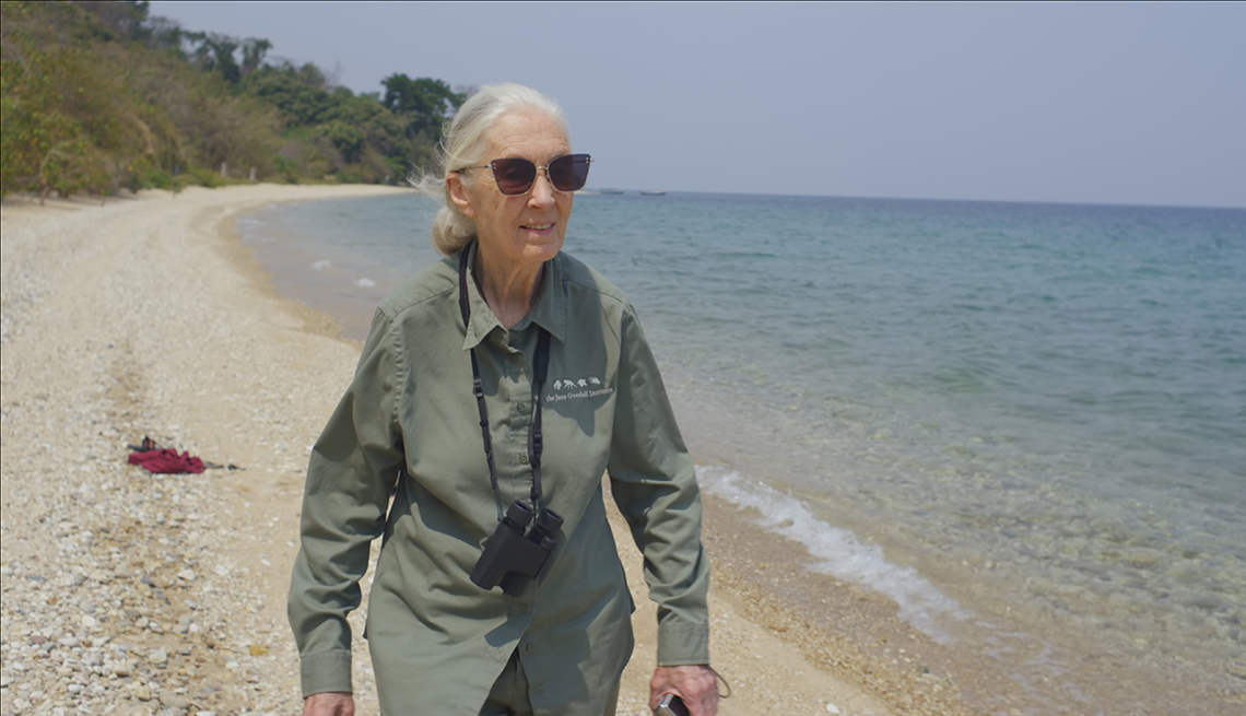 Doctor Jane Goodall walking along the beach of Lake Tanganyika in Africa