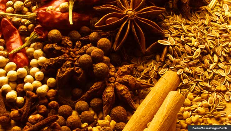 Healing Winter Spices
