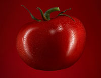 Tomates - Los beneficios de salud de los tomates