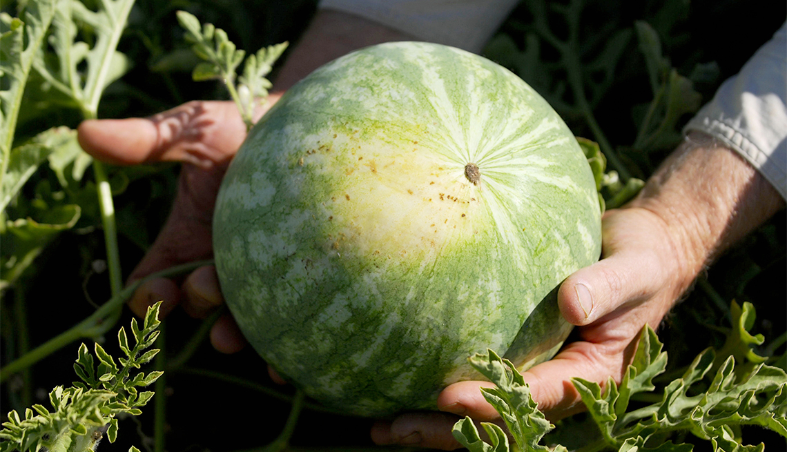 Datos curiosos sobre los melones