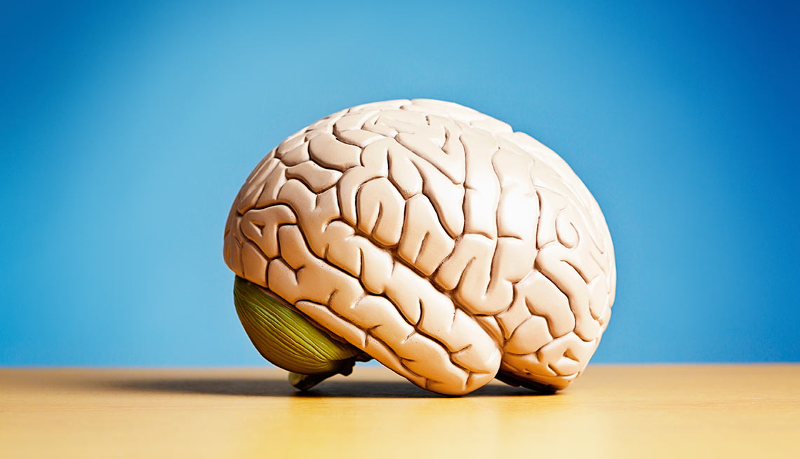 Myth or Fact? Test your brain health knowledge