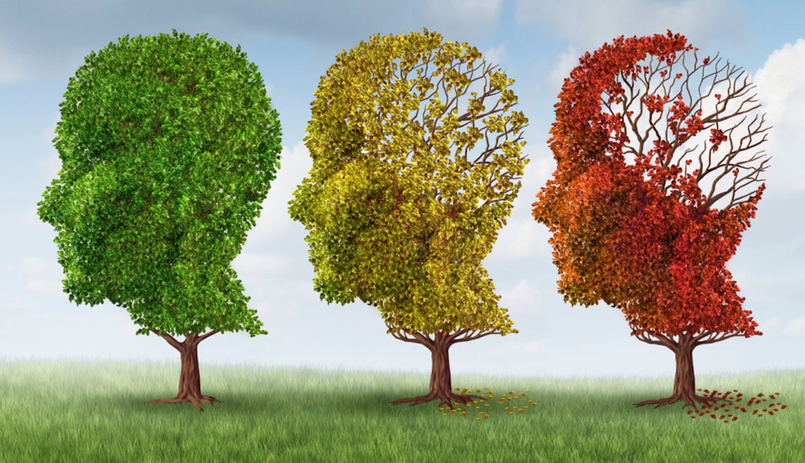 Brain Aging & dementia