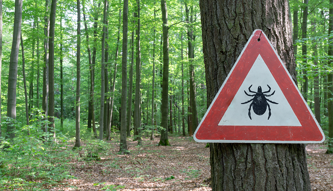 Tick warning sign in wooded area
