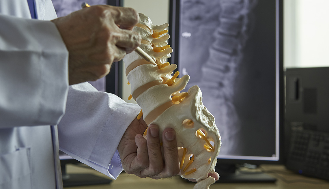 A neurosurgeon using a pencil pointing at a lumbar vertebra model in a medical office