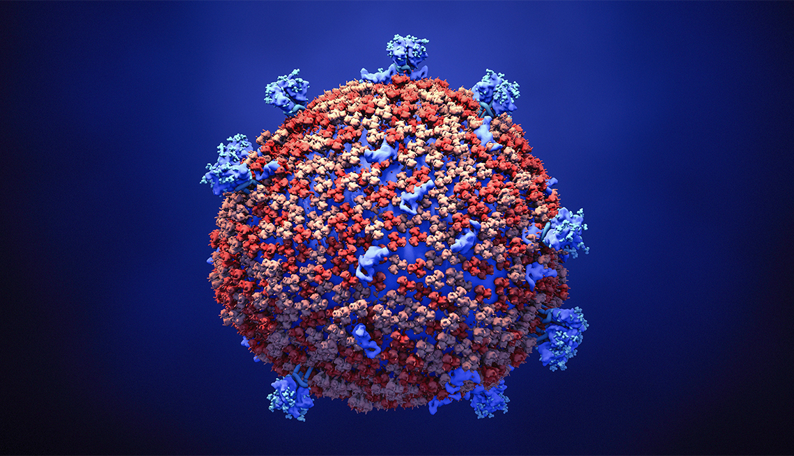Illustration of a coronavirus particle. 