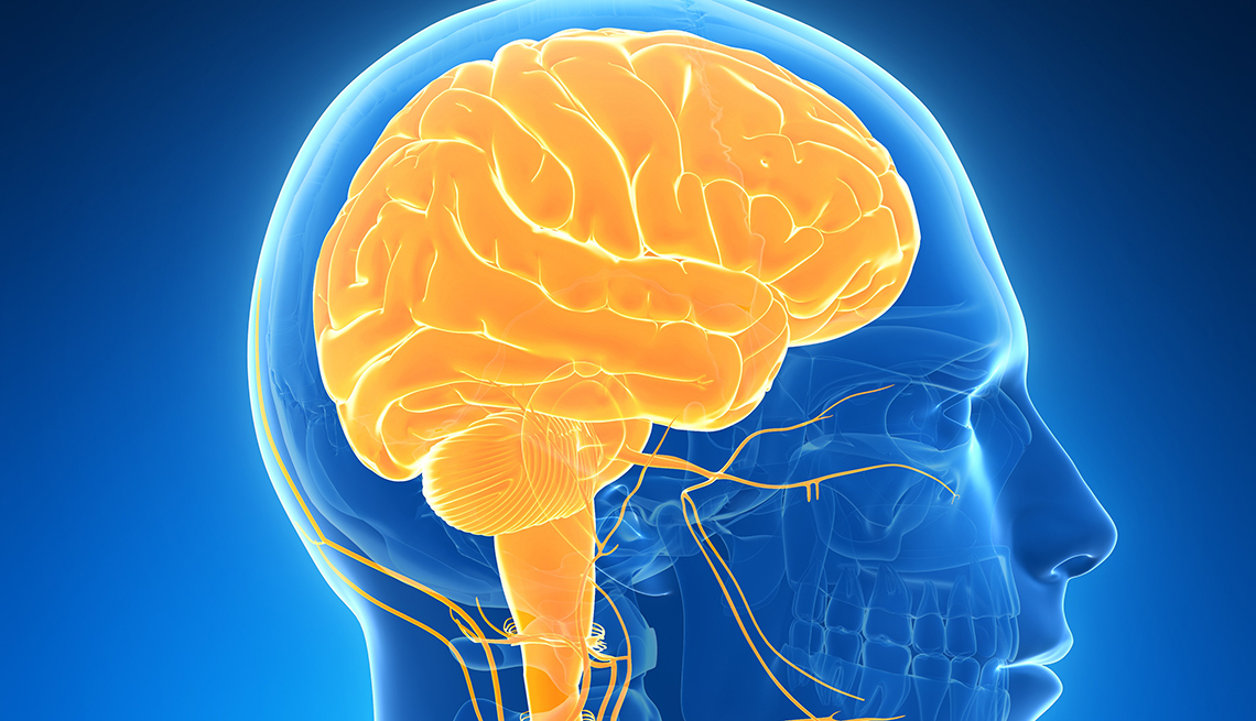illustration of the human brain highlighted in gold against an all blue background
