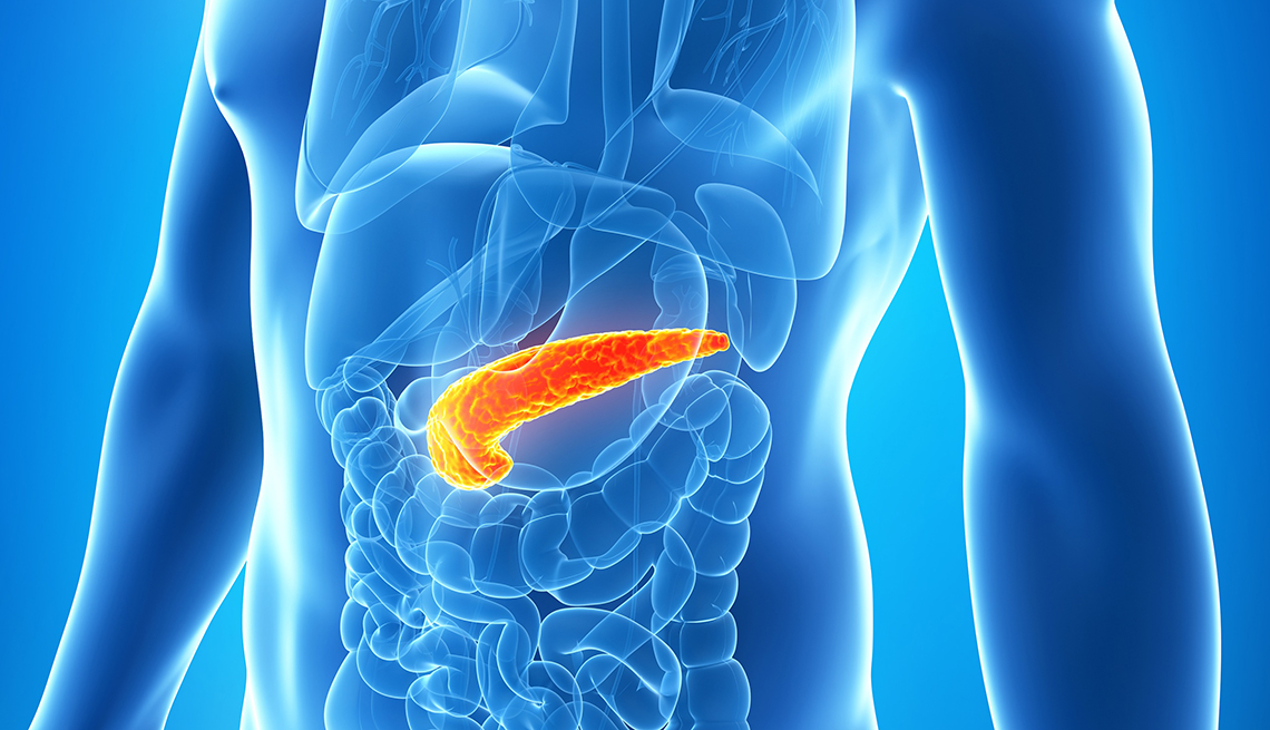 Ilustración del cuerpo humano donde se destaca el pancreas