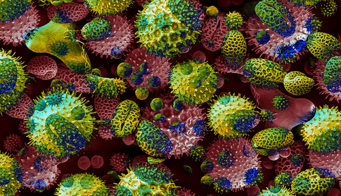 Ilustración de varias células virales