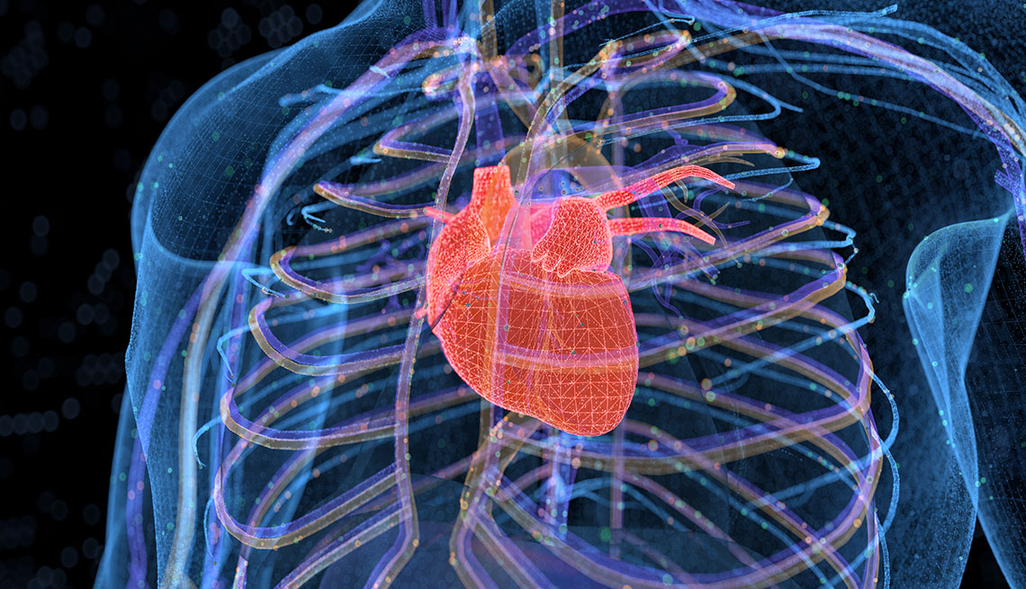 digital illustration of a heart