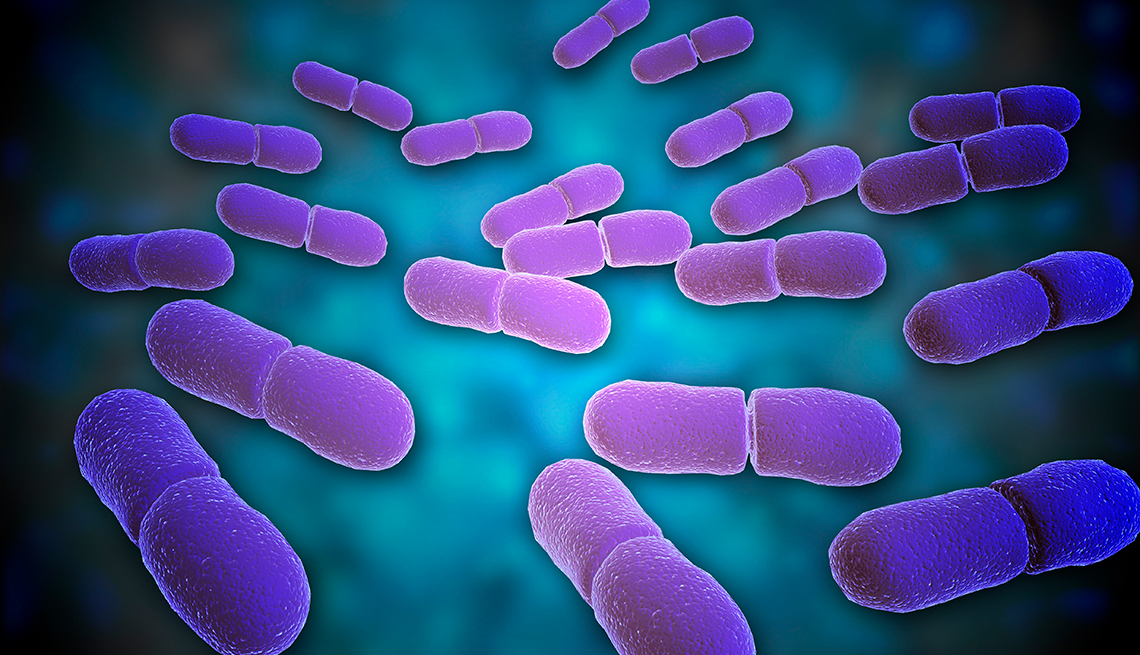 Primer plano microscópico de Listeria monocytogenes que causa la infección bacteriana listeriosis.