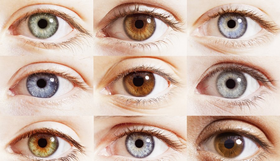 Udveksle jeg læser en bog knus Do You Know What Eye Color Says About Your Health?​​