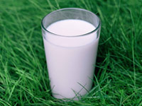 glass of milk - get more calcium to prevent osteoporosis