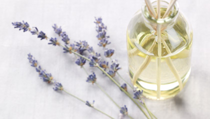 lavender sprigs and lavender oil