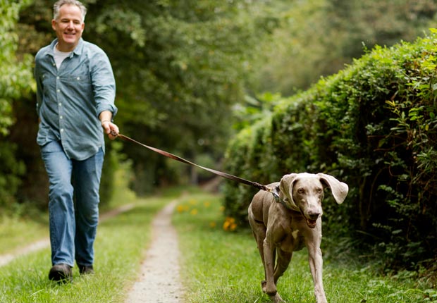 Man walking dog, Gain peace with a pooch